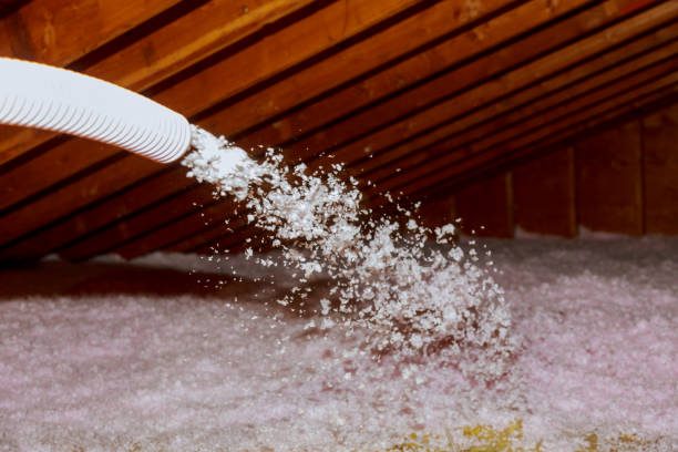 Best Specialty Insulation in Proctor, MN